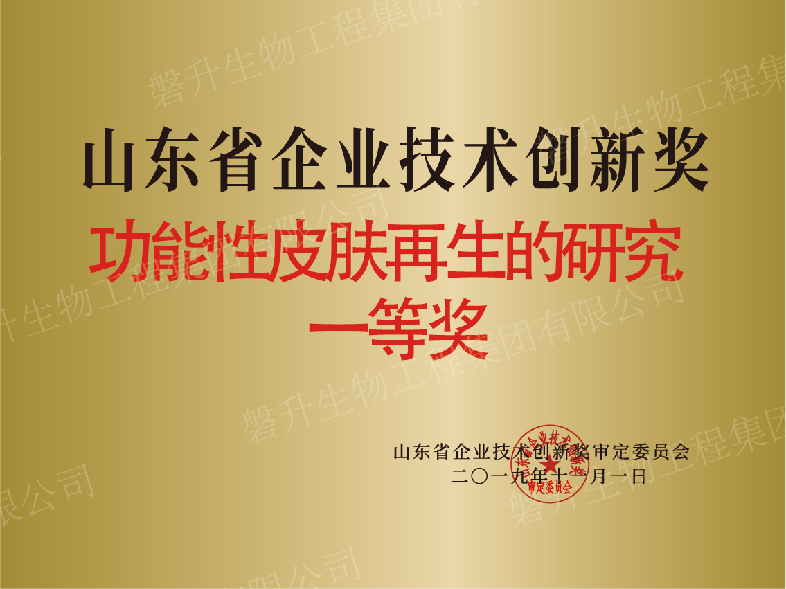 山东省企业技术创新奖
