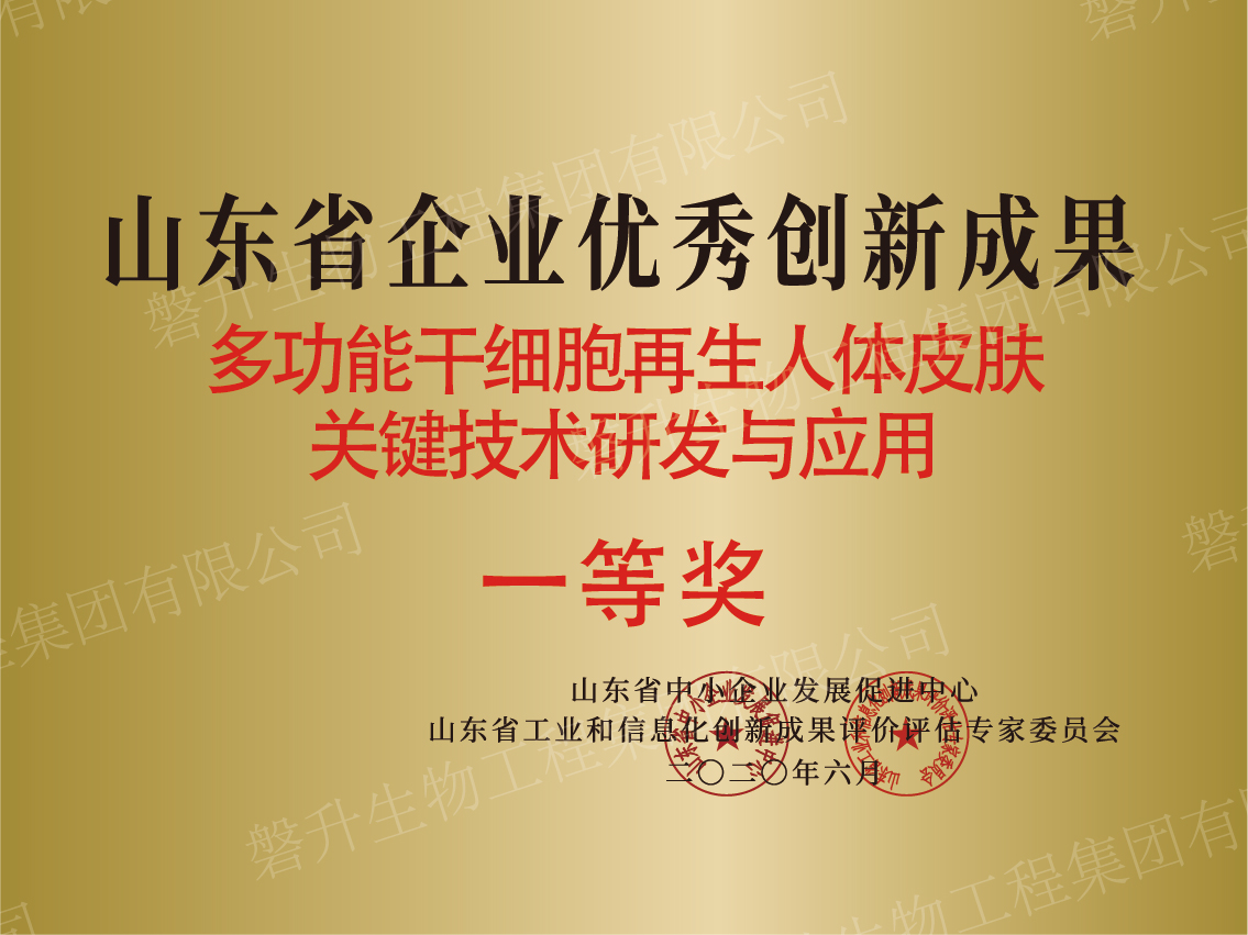 山东省企业优秀创新成果