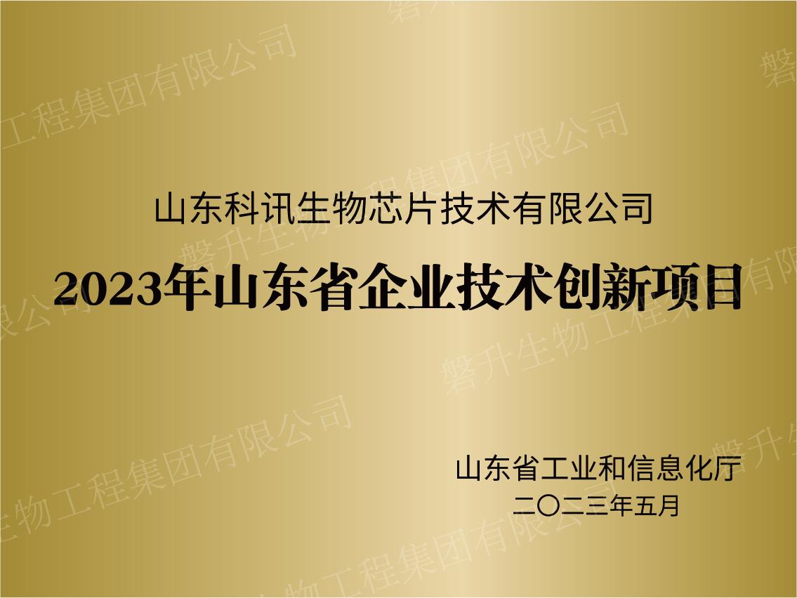 2023年山东省企业技术创新项目