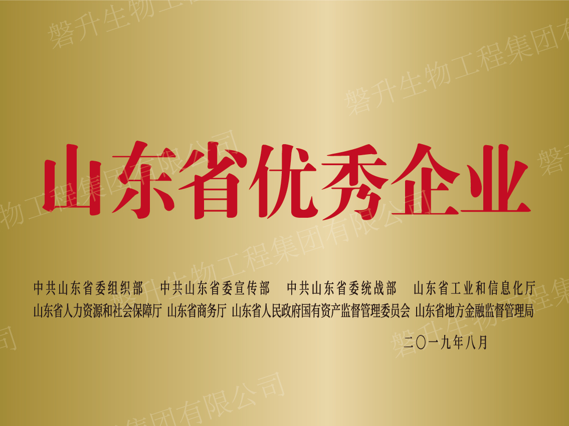山东省优秀企业