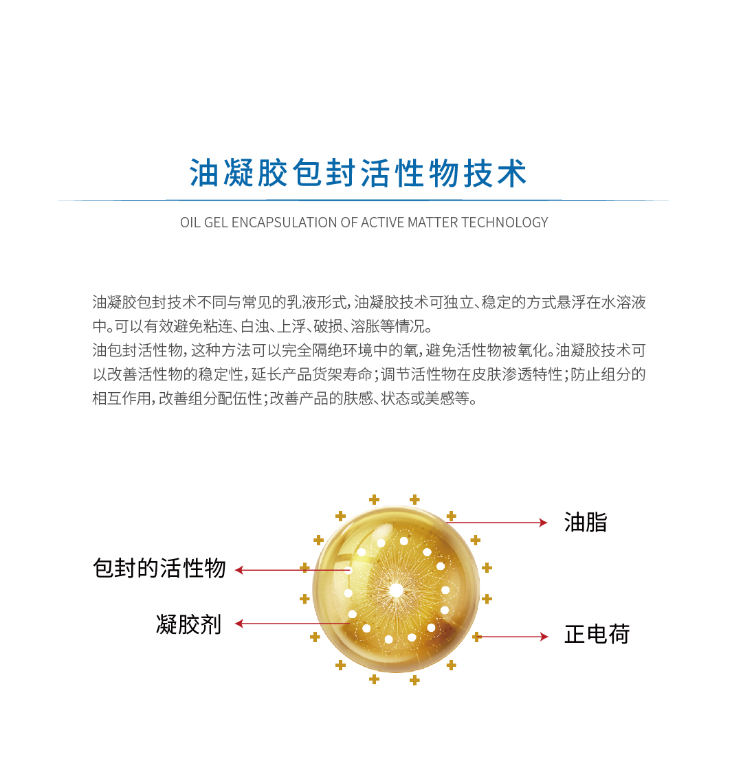 2油凝胶包封活性物2.jpg