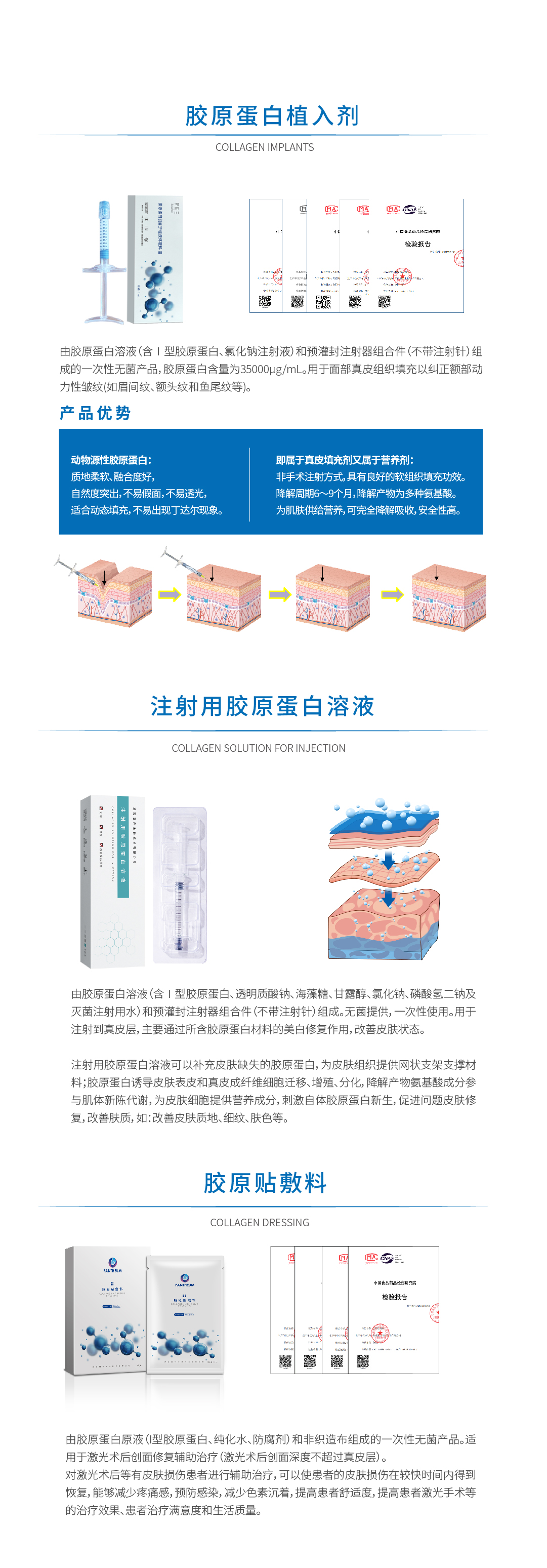 7胶原蛋白2.jpg