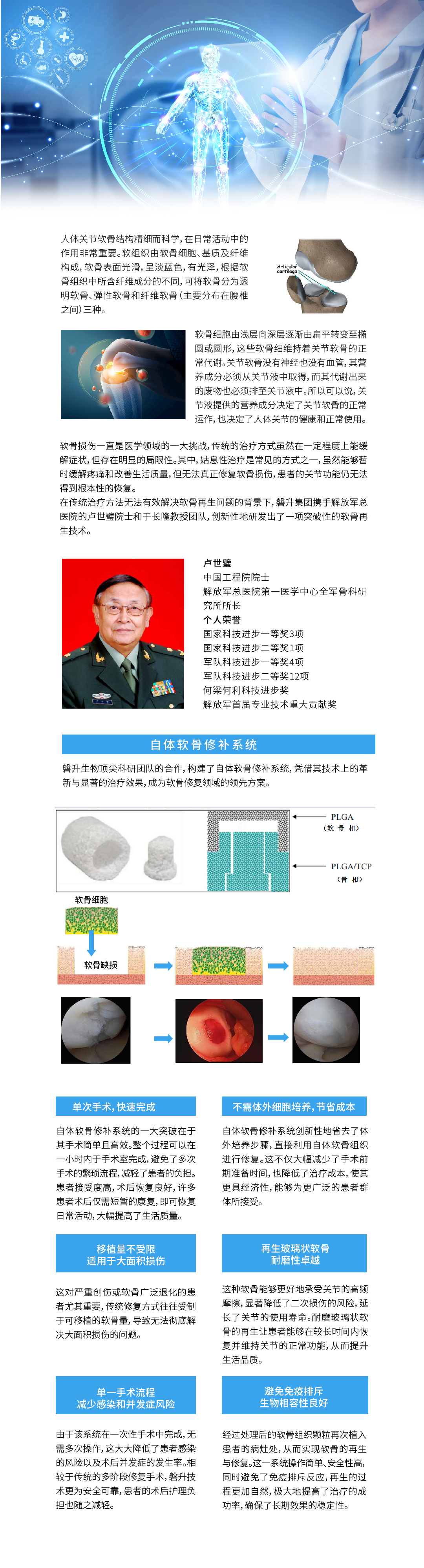软骨再生.jpg